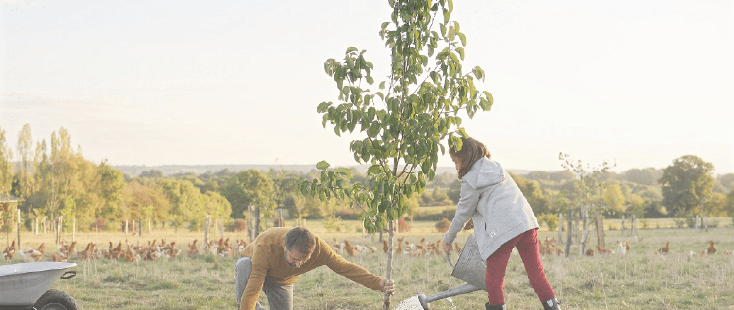 Image un père et sa fille plantant un arbre